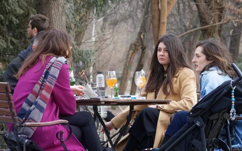 Racoon Renault